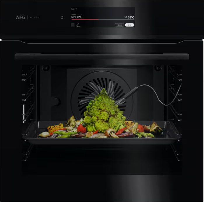 AEG 9000 four multifonction - 60cm - BP9200B